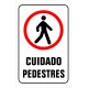 Placa de Sinalização 16x25